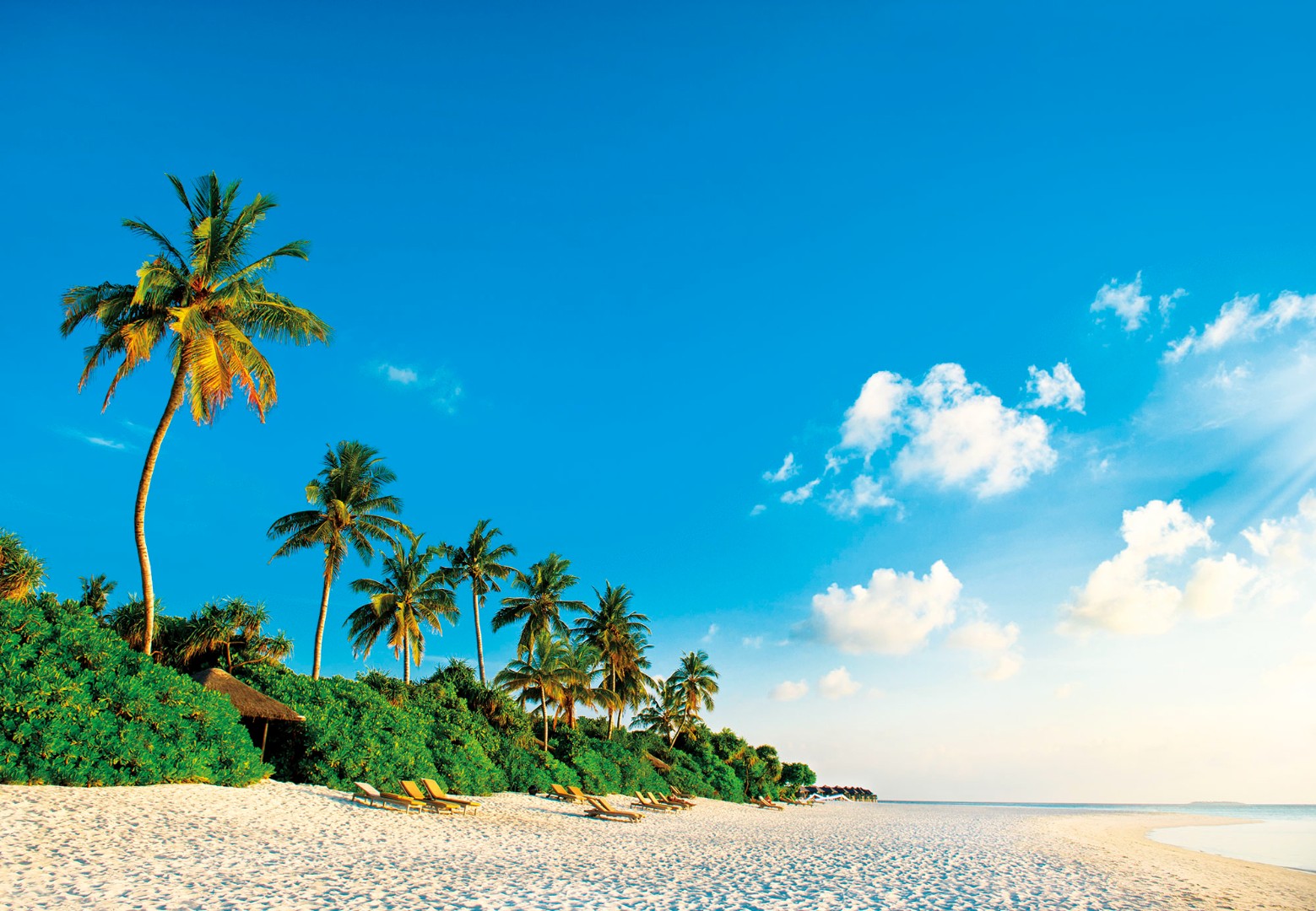 Фрески Ortograf арт 30666 фото 1