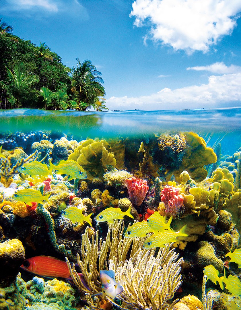 Фрески Ortograf арт 30677 фото 1