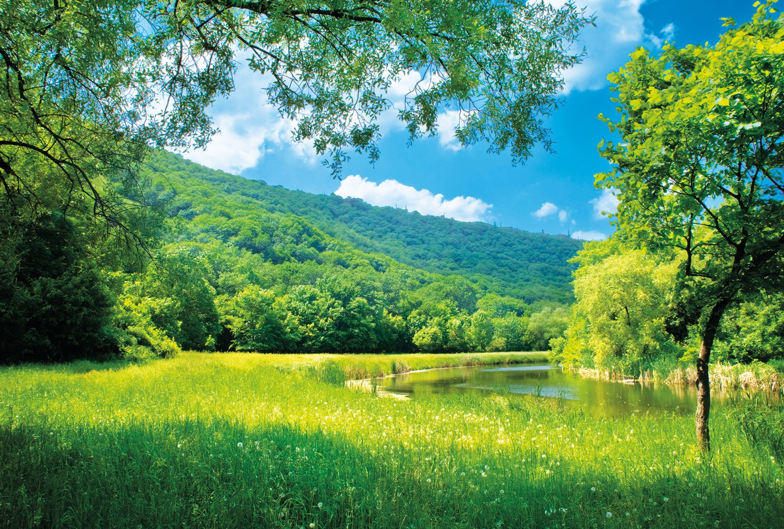 Фрески Ortograf арт 30684 фото 1