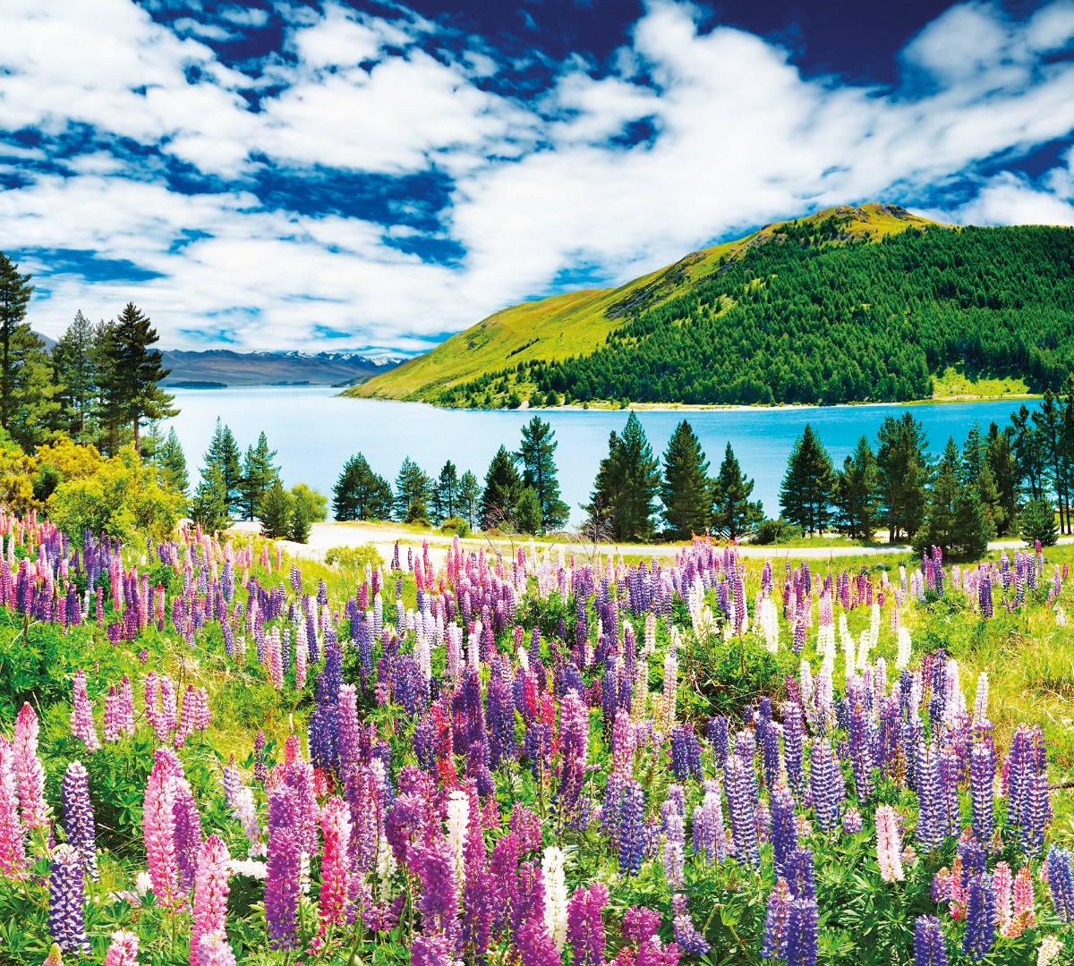 Фрески Ortograf арт 30688 фото 1