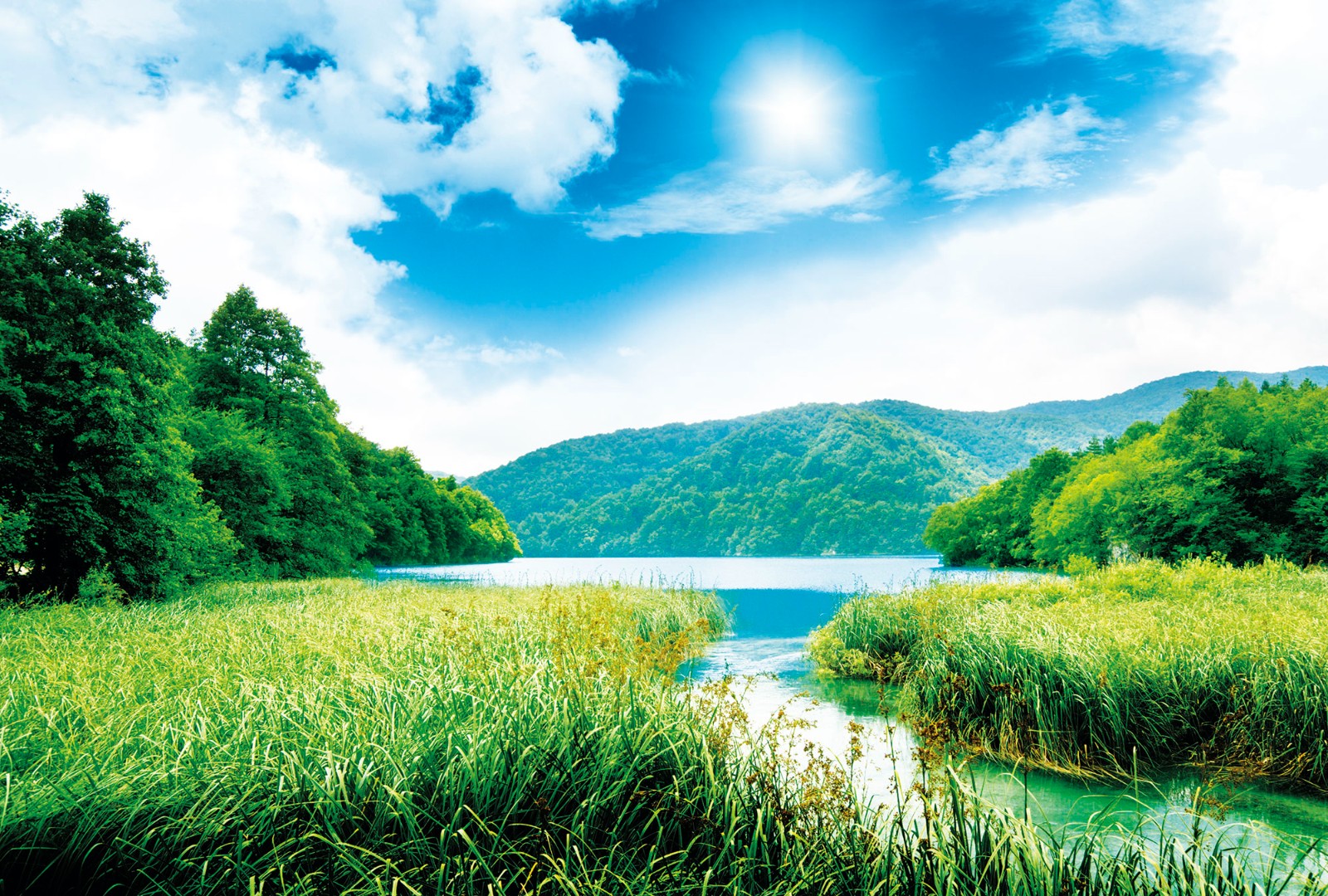 Фрески Ortograf арт 30692 фото 1