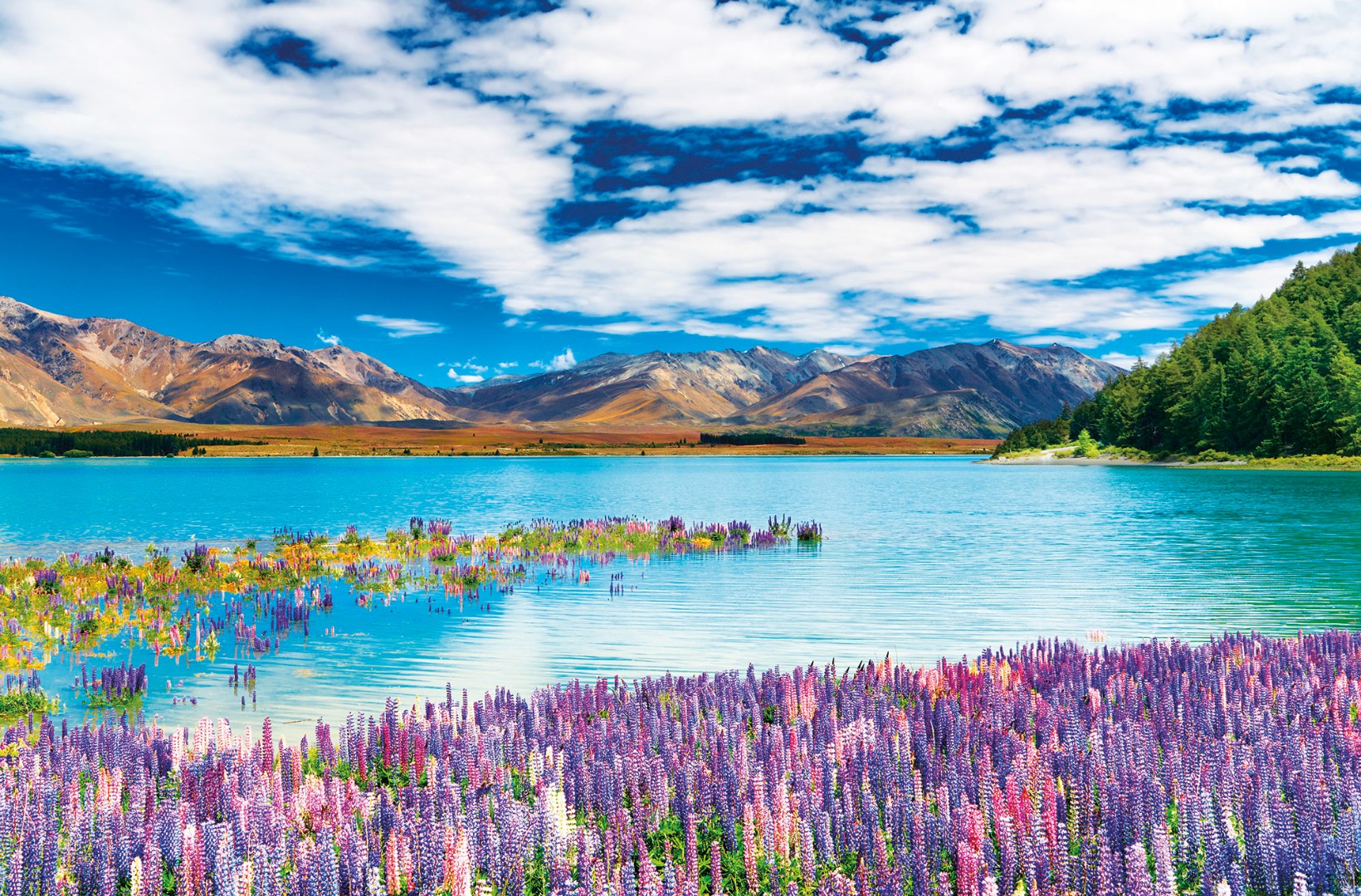 Фрески Ortograf арт 30696 фото 1