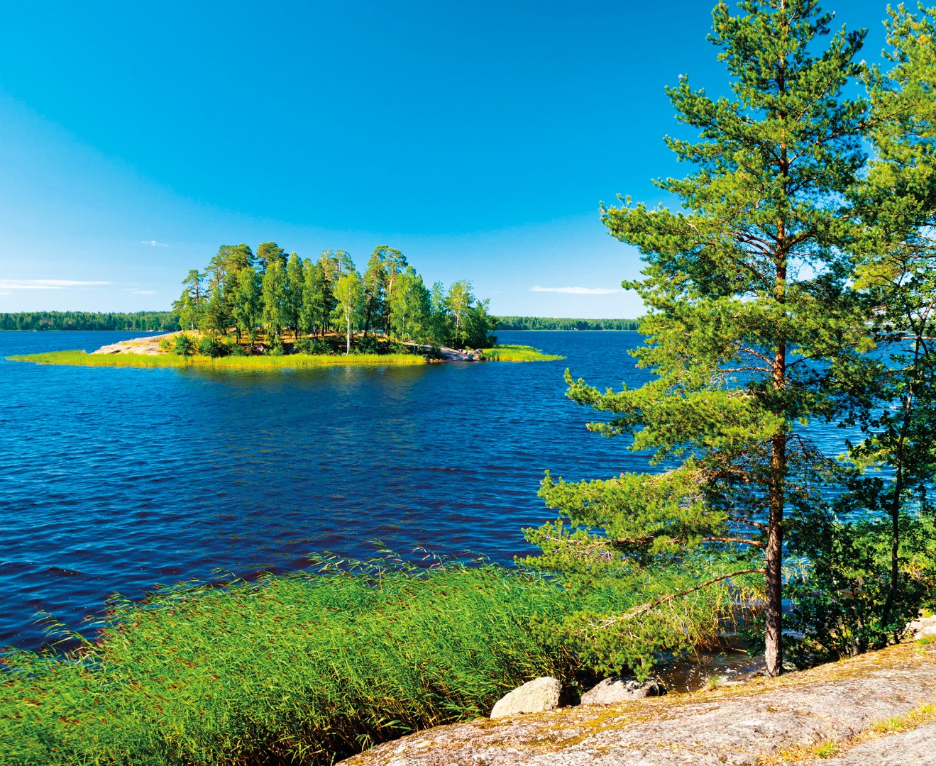 Фрески Ortograf арт 30703 фото 1