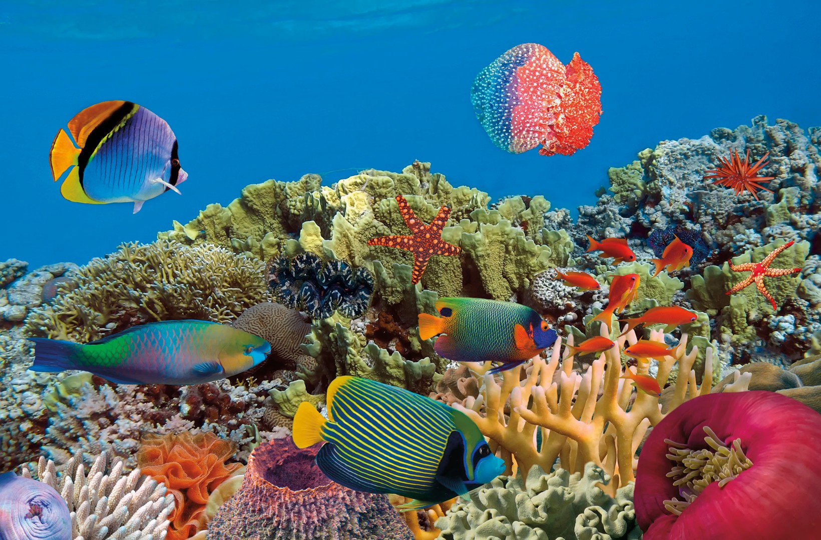 Фрески Ortograf арт 30706 фото 1