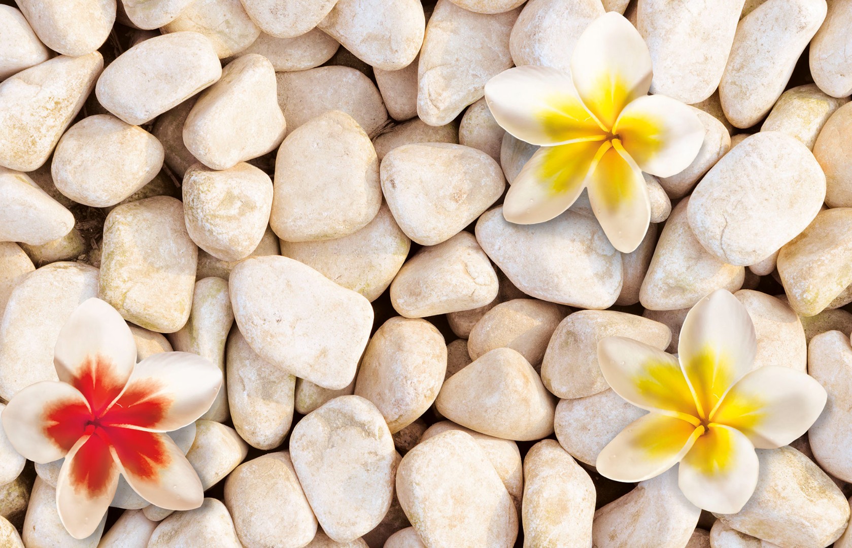 Фрески Ortograf арт 30745 фото 1