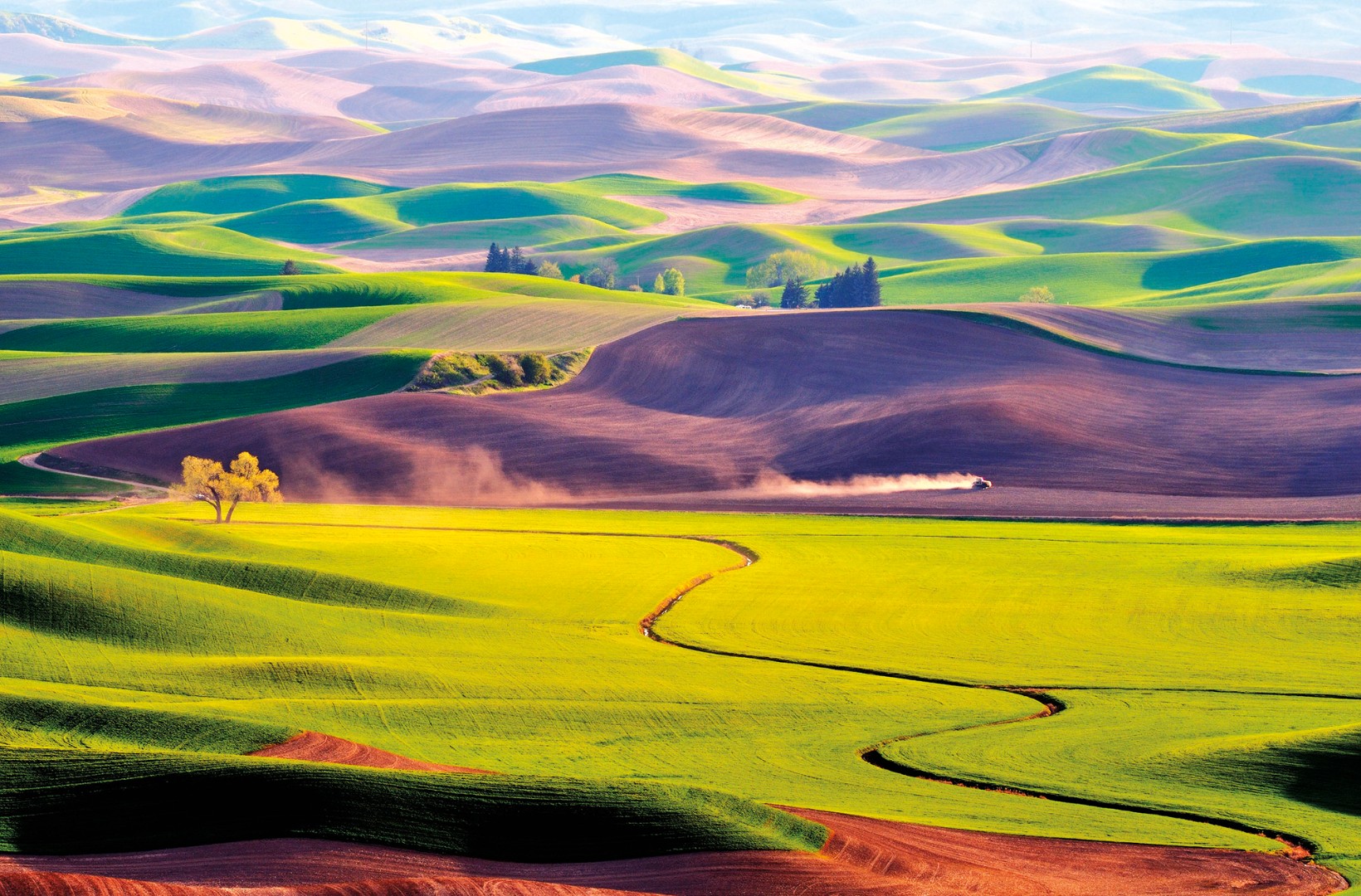 Фрески Ortograf арт 30852 фото 1