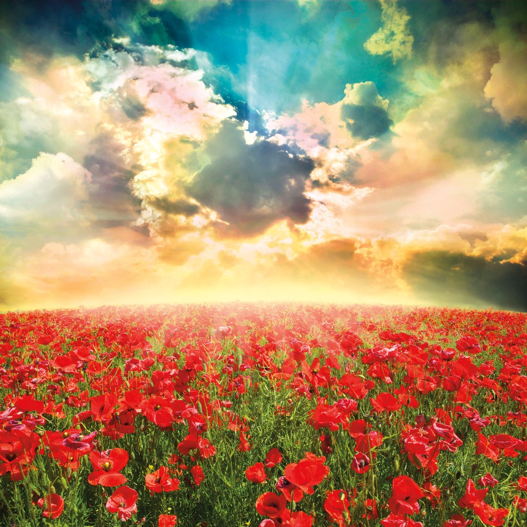 Фрески Ortograf арт 30853 фото 1