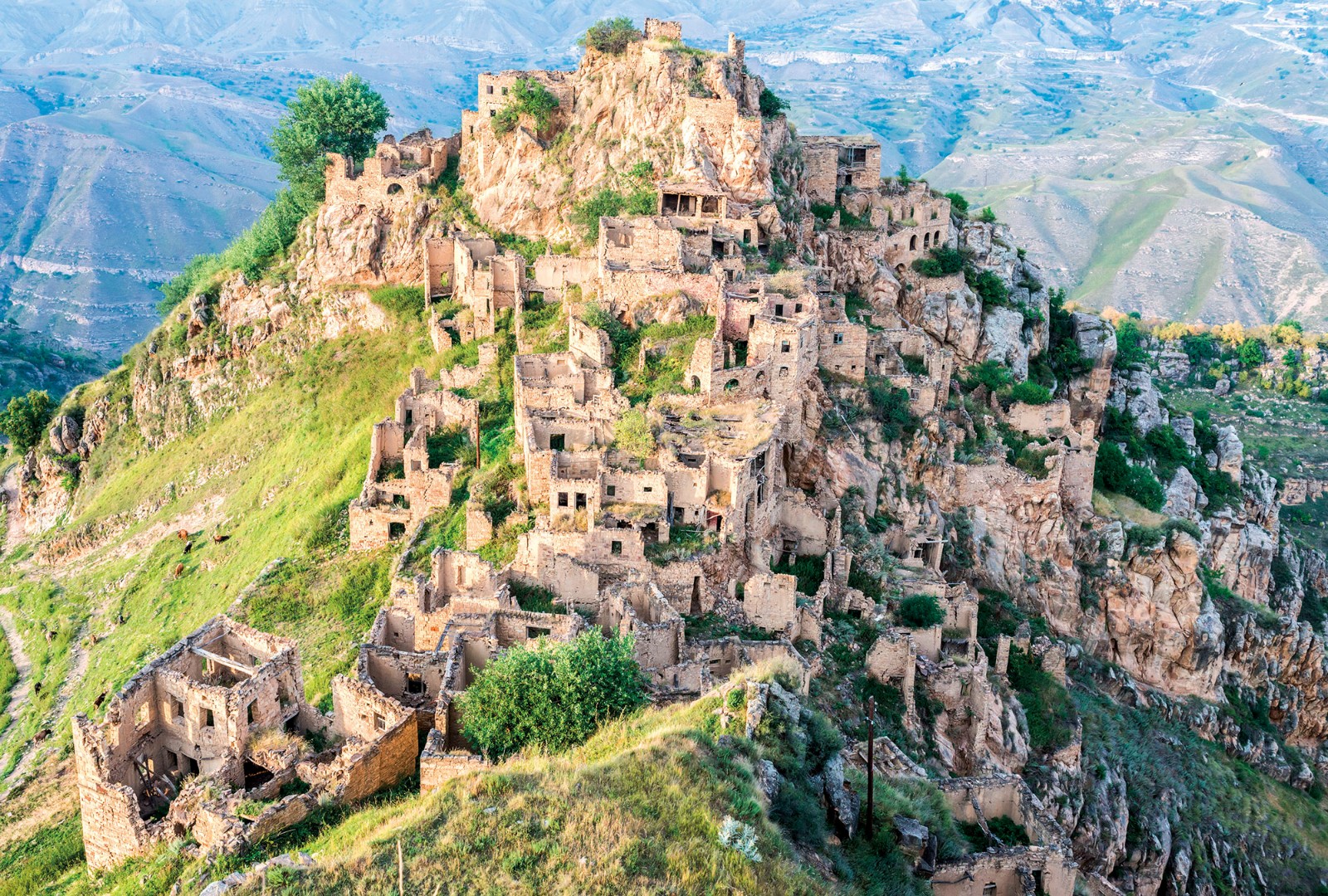 Фрески Ortograf арт 30907 фото 1