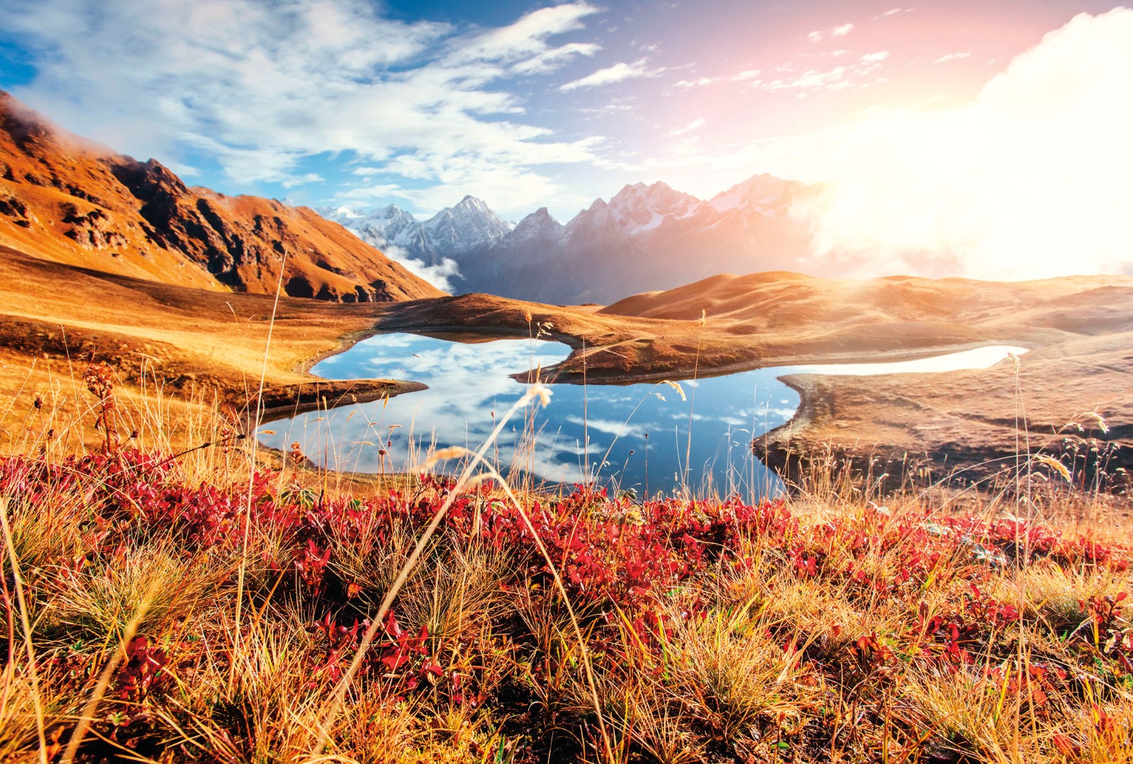 Фрески Ortograf арт 30908 фото 1