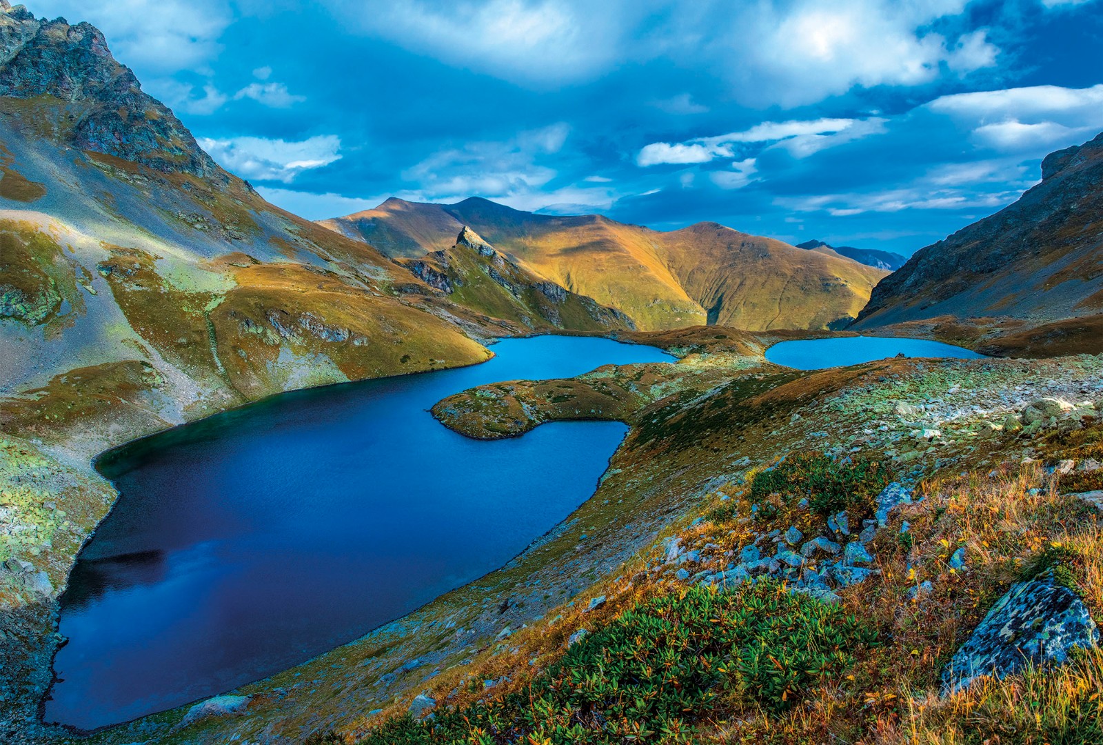 Фрески Ortograf арт 30922 фото 1