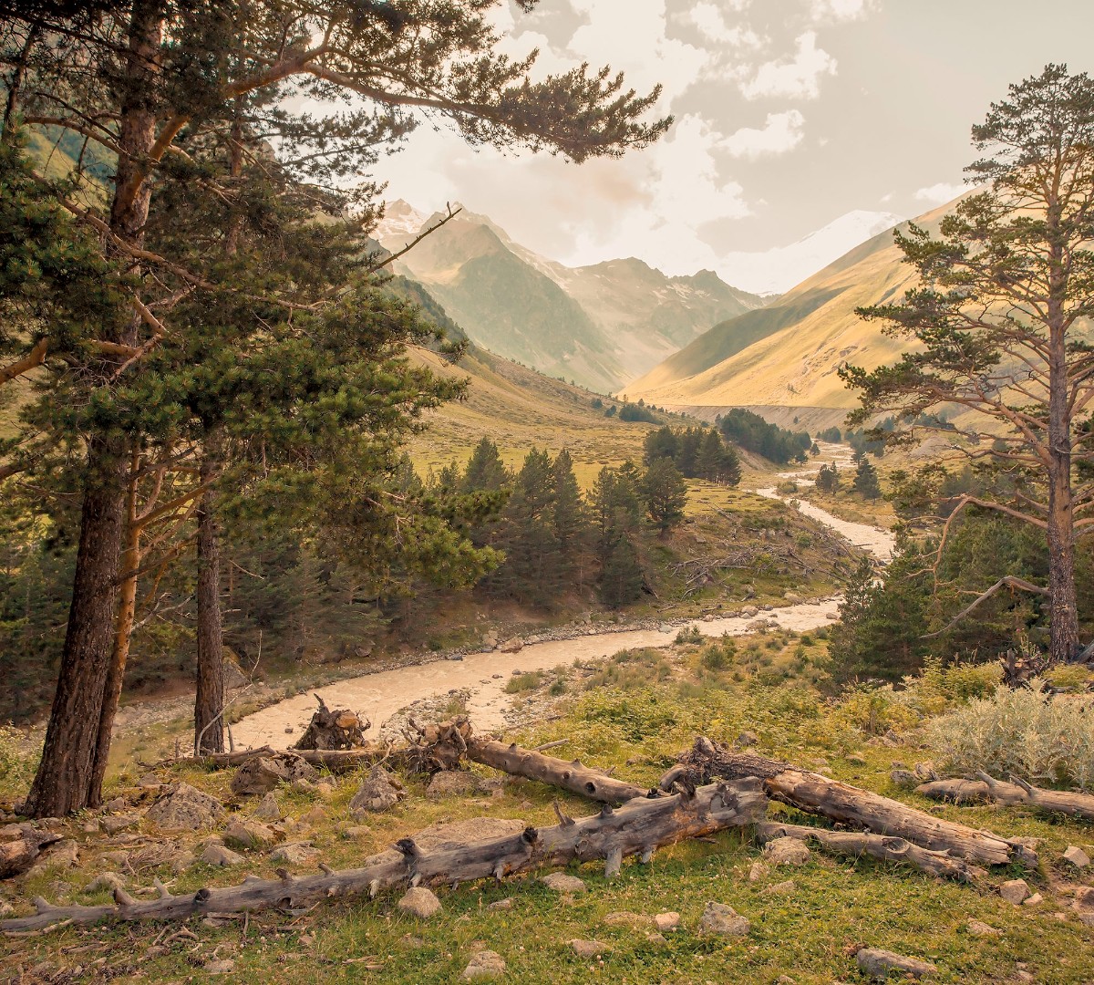 Фрески Ortograf арт 30934 фото 1