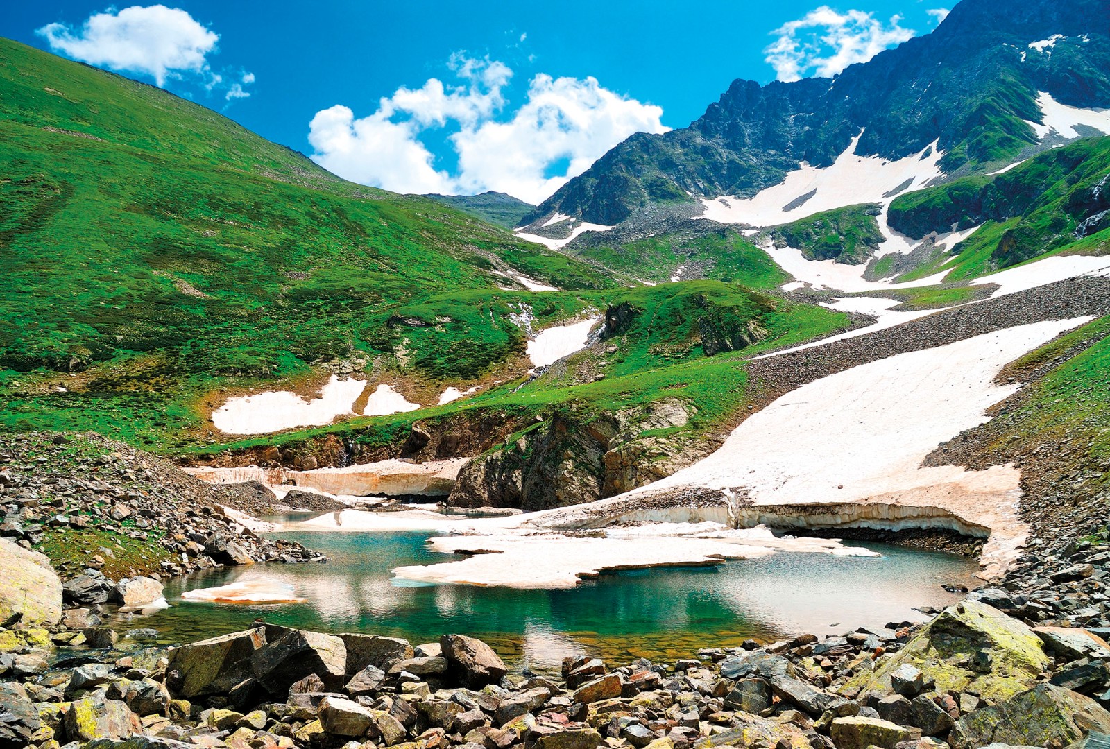 Фрески Ortograf арт 30936 фото 1