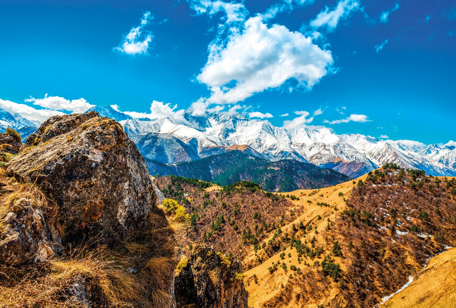 Фрески Ortograf арт 30944 фото 1