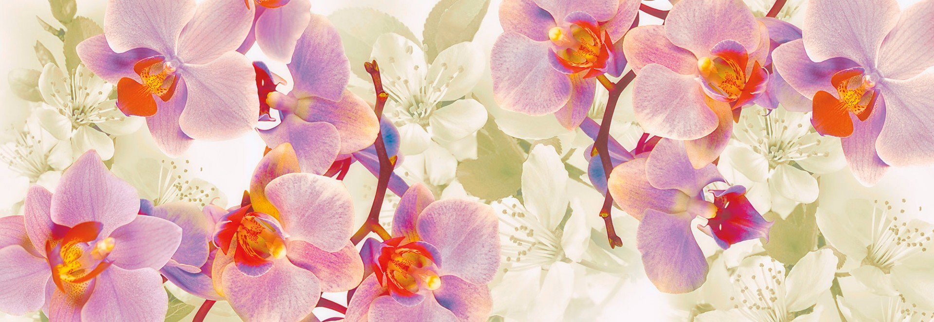 Фрески Ortograf арт 30965 фото 1