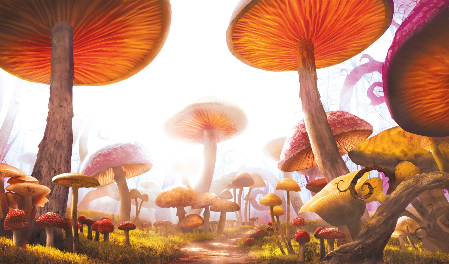 Фрески Ortograf арт 30989 фото 1