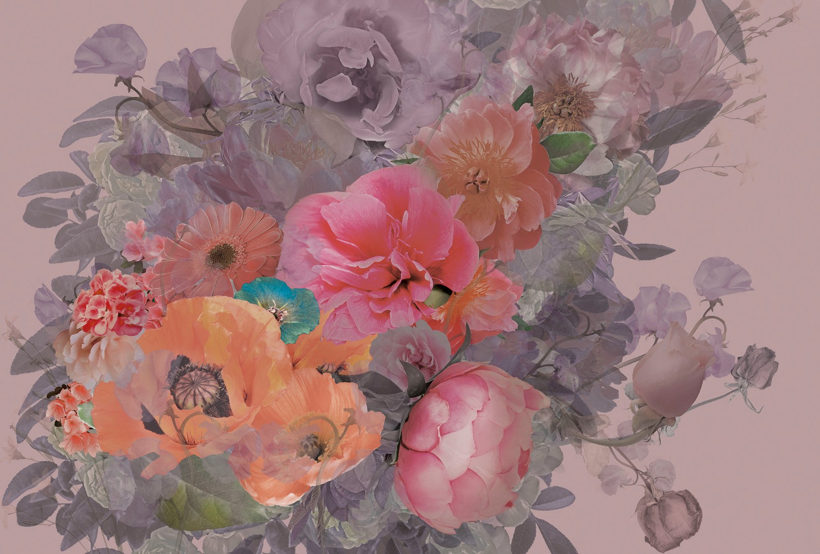 Фрески Ortograf арт 31612 фото 1