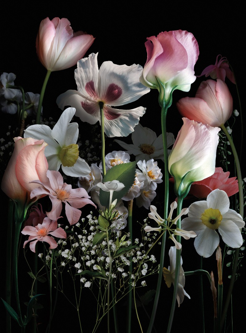 Фрески Ortograf арт 31632 фото 1