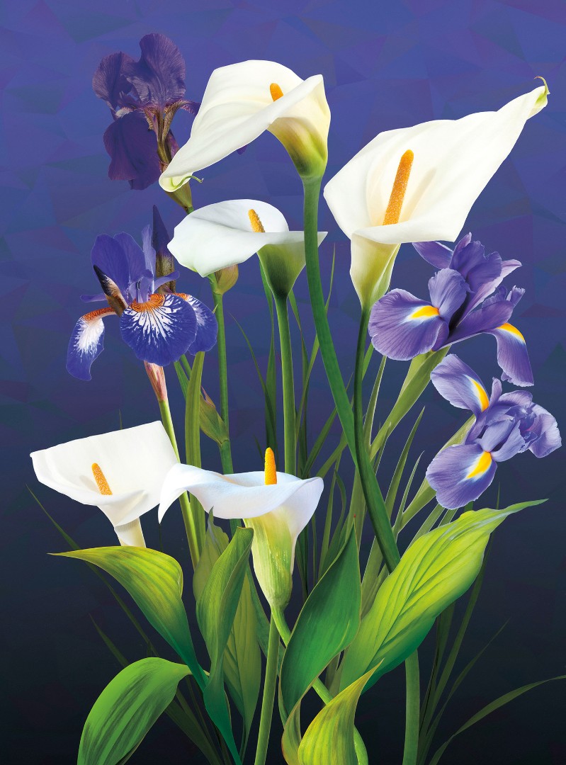 Фрески Ortograf арт 31634 фото 1