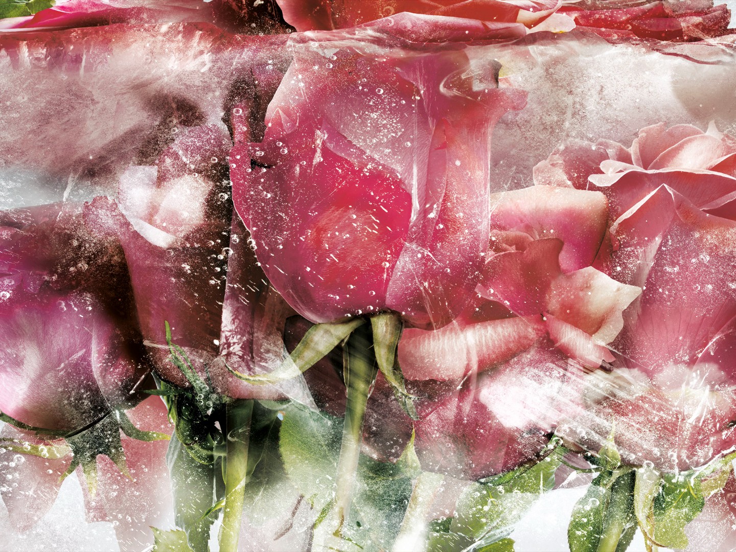 Фрески Ortograf арт 31664 фото 1