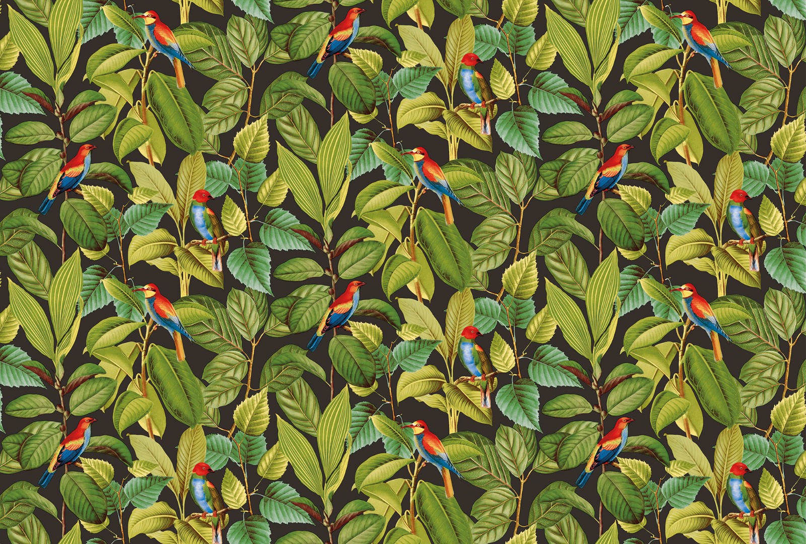 Фрески Ortograf арт 32719 фото 1