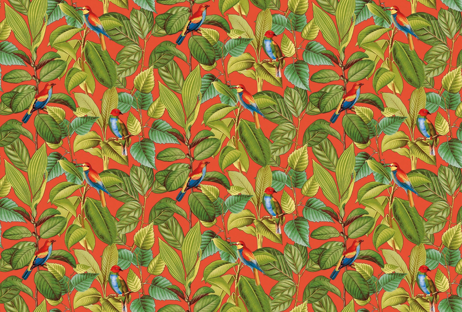 Фрески Ortograf арт 32721 фото 1