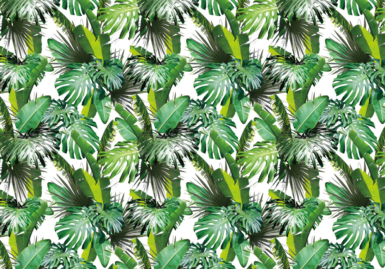 Фрески Ortograf арт 32759 фото 1