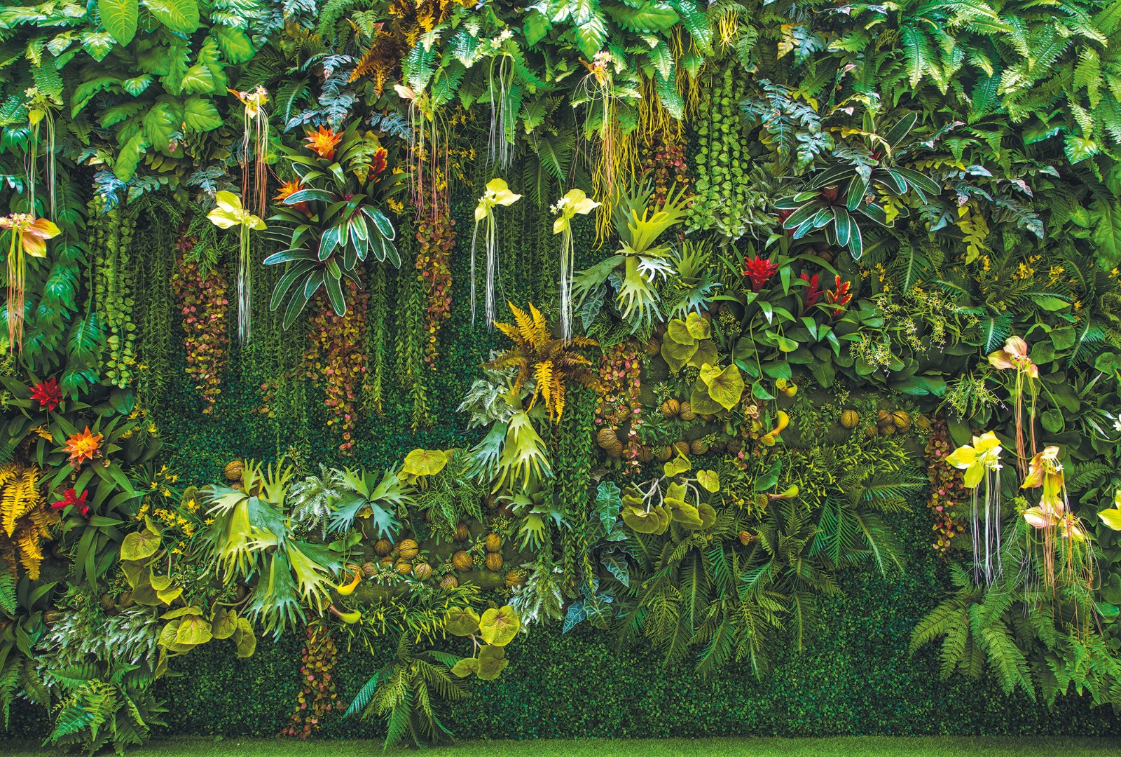 Фрески Ortograf арт 32764 фото 1