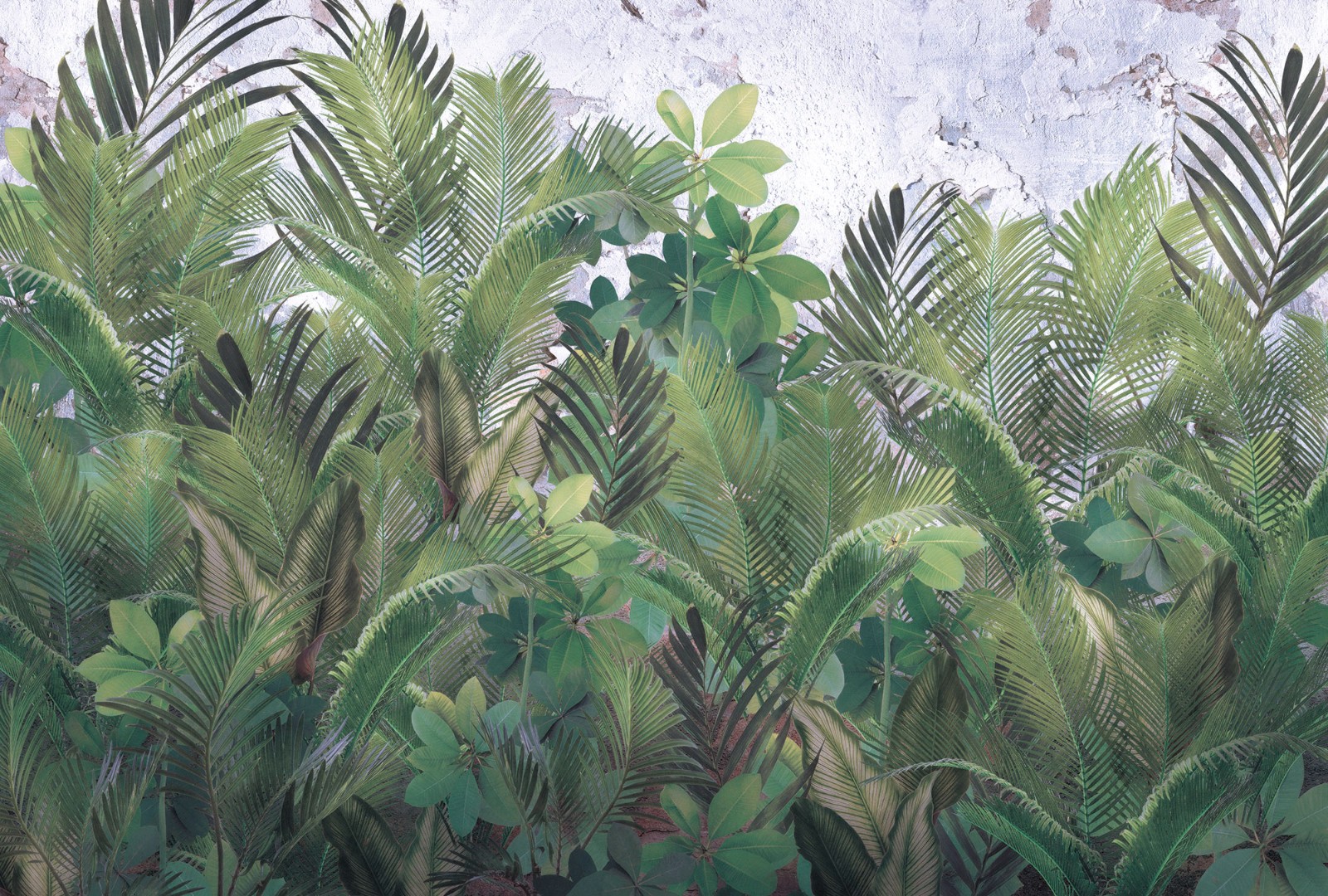 Фрески Ortograf арт 32776 фото 1