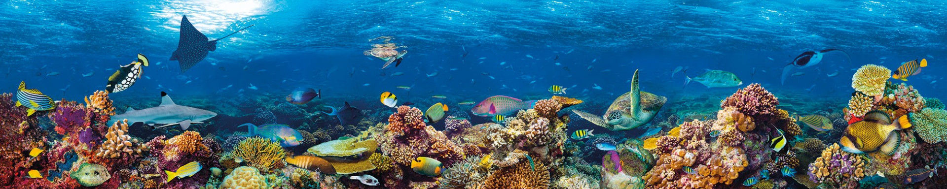 Фрески Ortograf арт 33113 фото 1