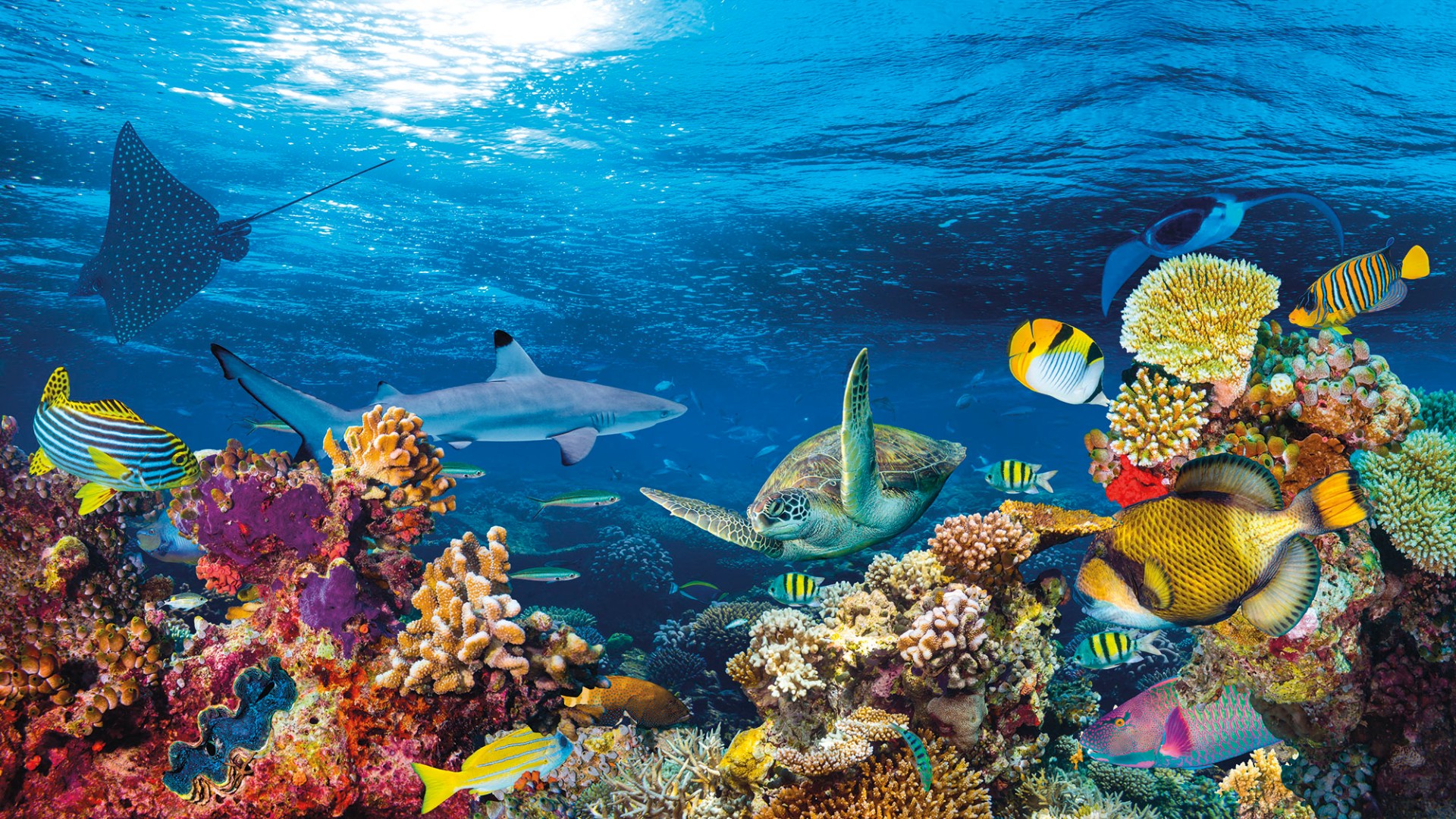 Фрески Ortograf арт 33115 фото 1