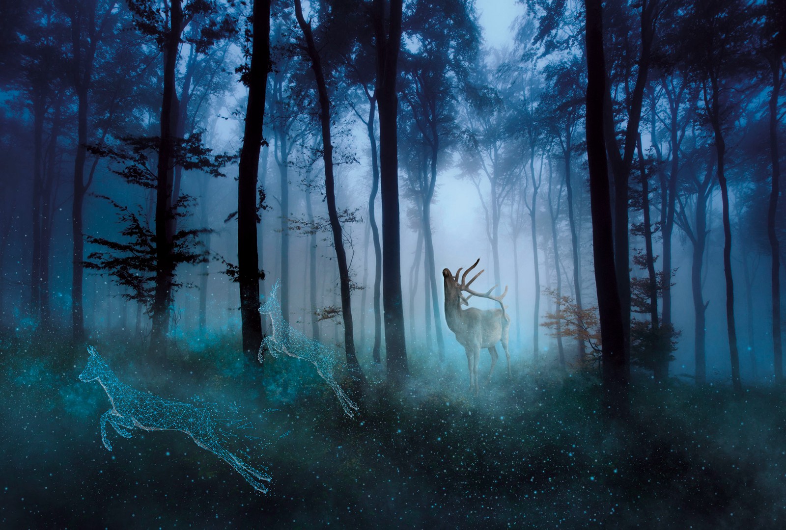 Фрески Ortograf арт 33149 фото 1