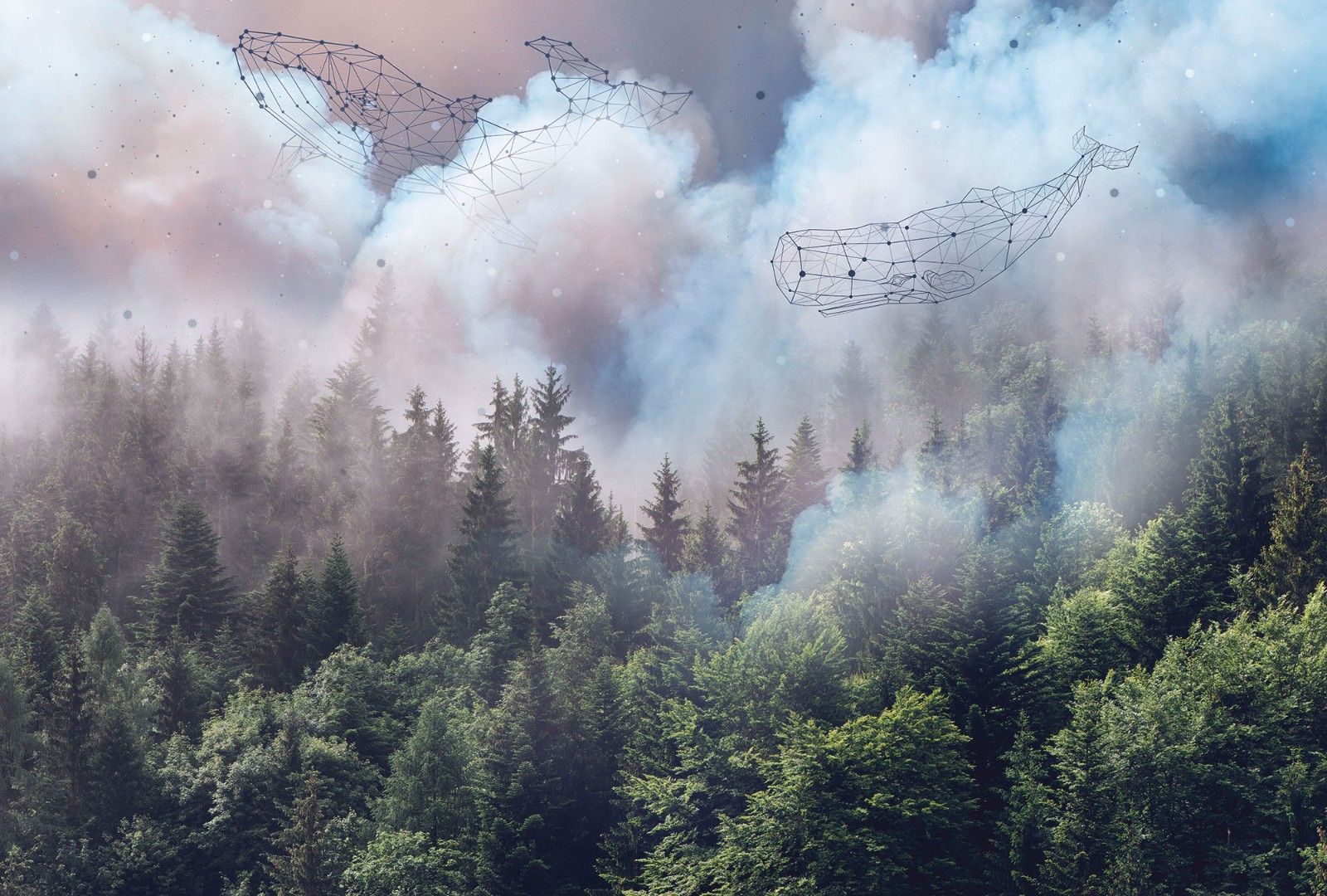 Фрески Ortograf арт 33155 фото 1