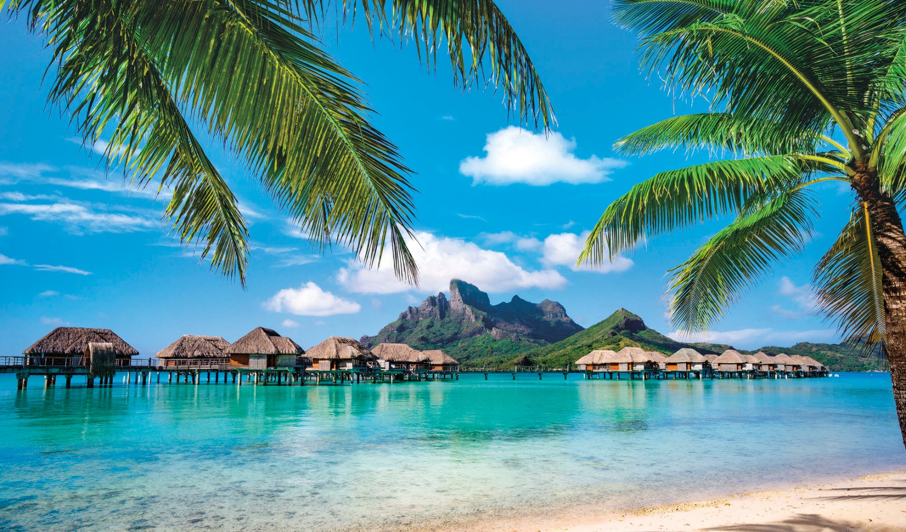 Фрески Ortograf арт 33197 фото 1