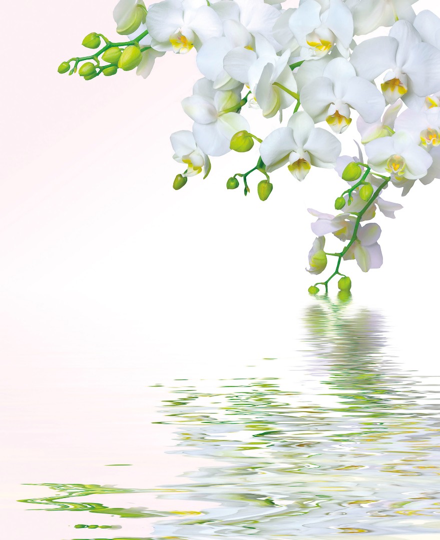 Фрески Ortograf арт 33209 фото 1