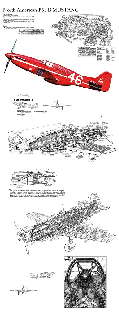Фрески Ortograf арт 33302 фото 1