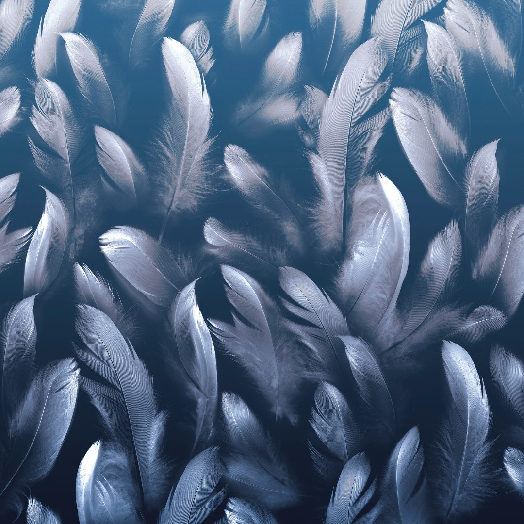 Фрески Ortograf арт 33365 фото 1