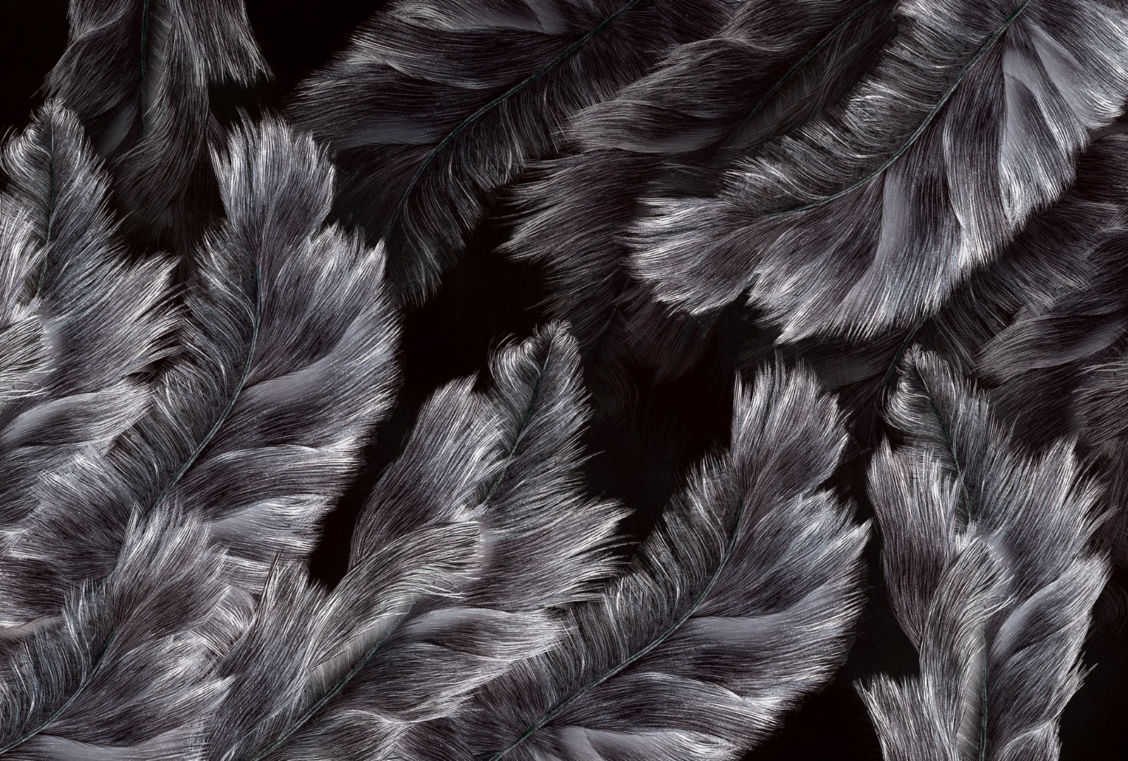 Фрески Ortograf арт 33369 фото 1