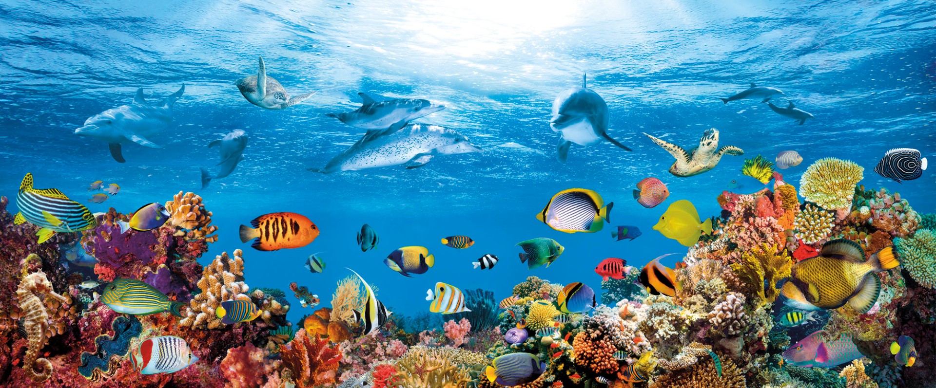 Фрески Ortograf арт 33443 фото 1