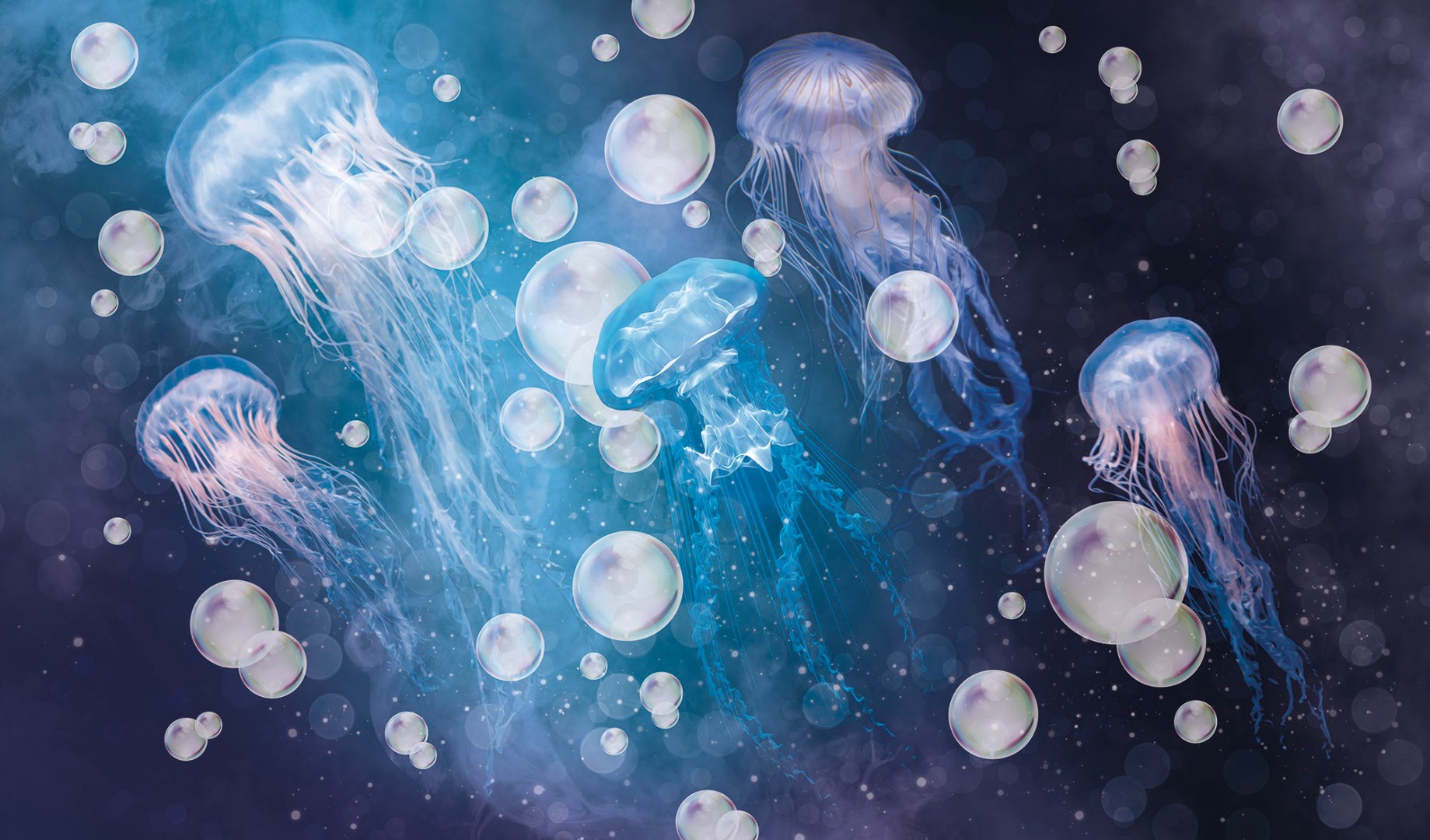 Фрески Ortograf арт 33447 фото 1