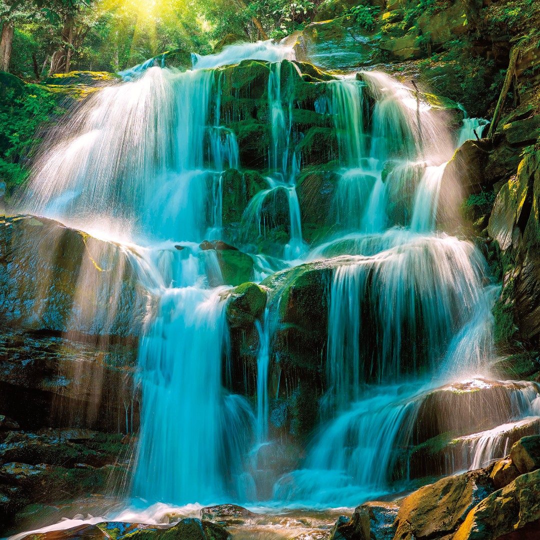 Фрески Ortograf арт 33461 фото 1