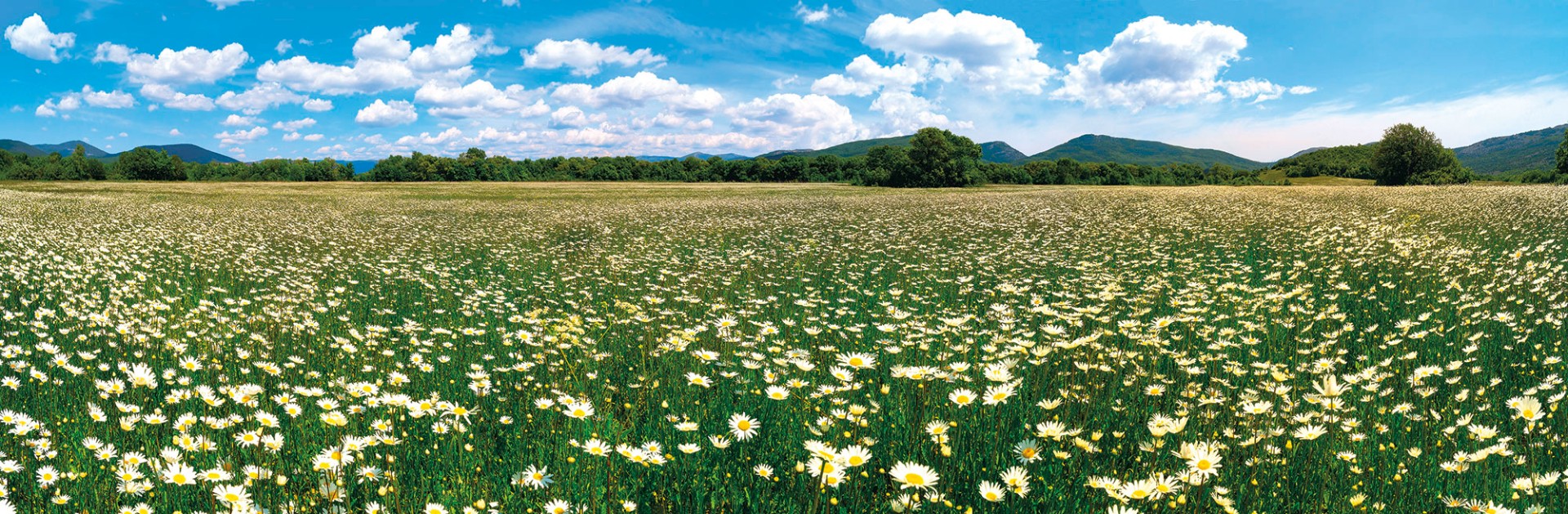 Фрески Ortograf арт 33468 фото 1