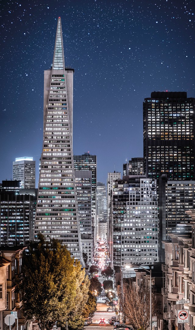 Фрески Ortograf арт 33499 фото 1