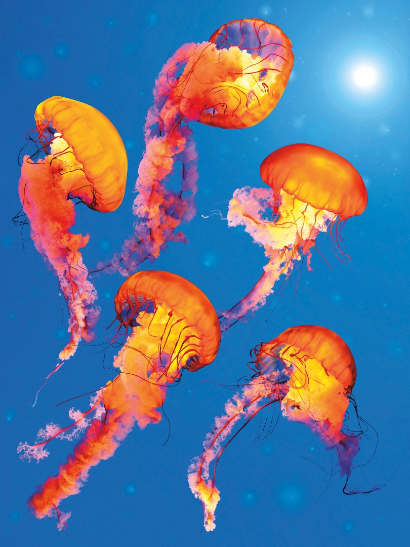 Фрески Ortograf арт 33507 фото 1