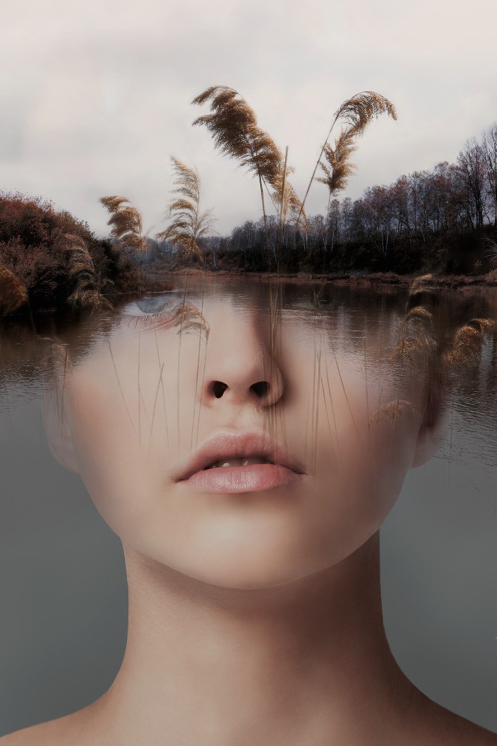 Фрески Ortograf арт 33830 фото 1