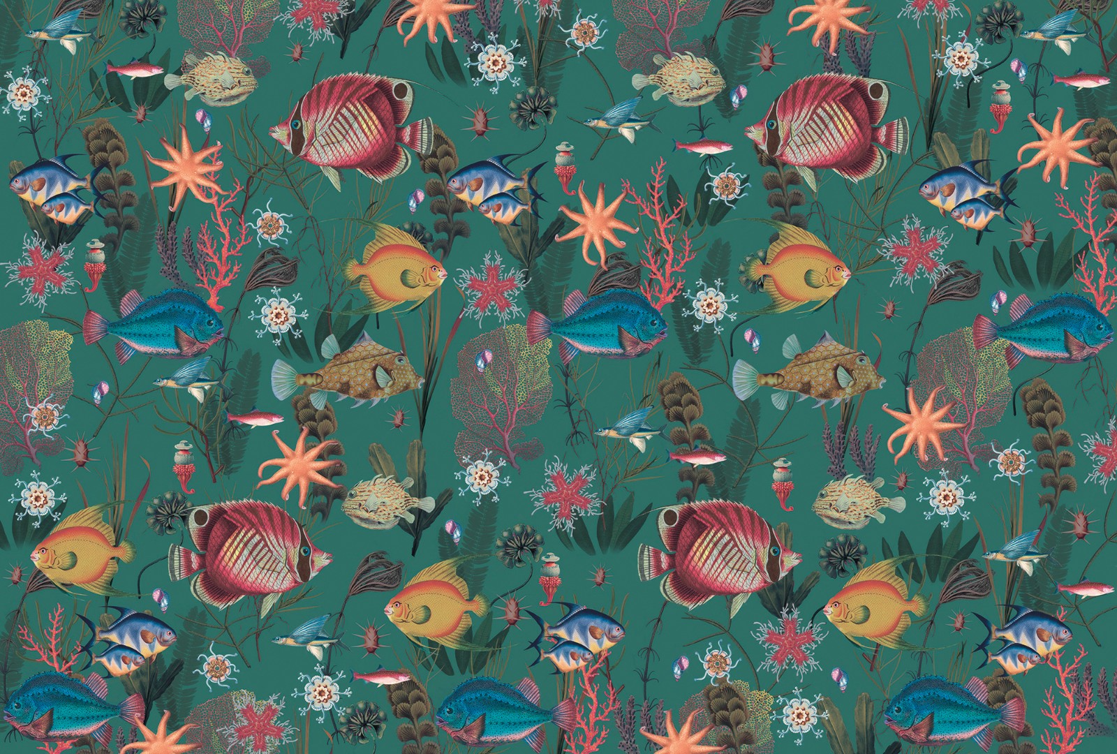 Фрески Ortograf арт 33902 фото 1