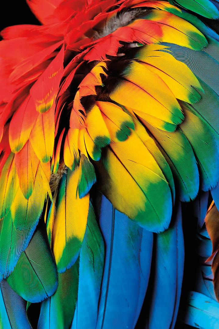 Фрески Ortograf арт 33611 фото 1