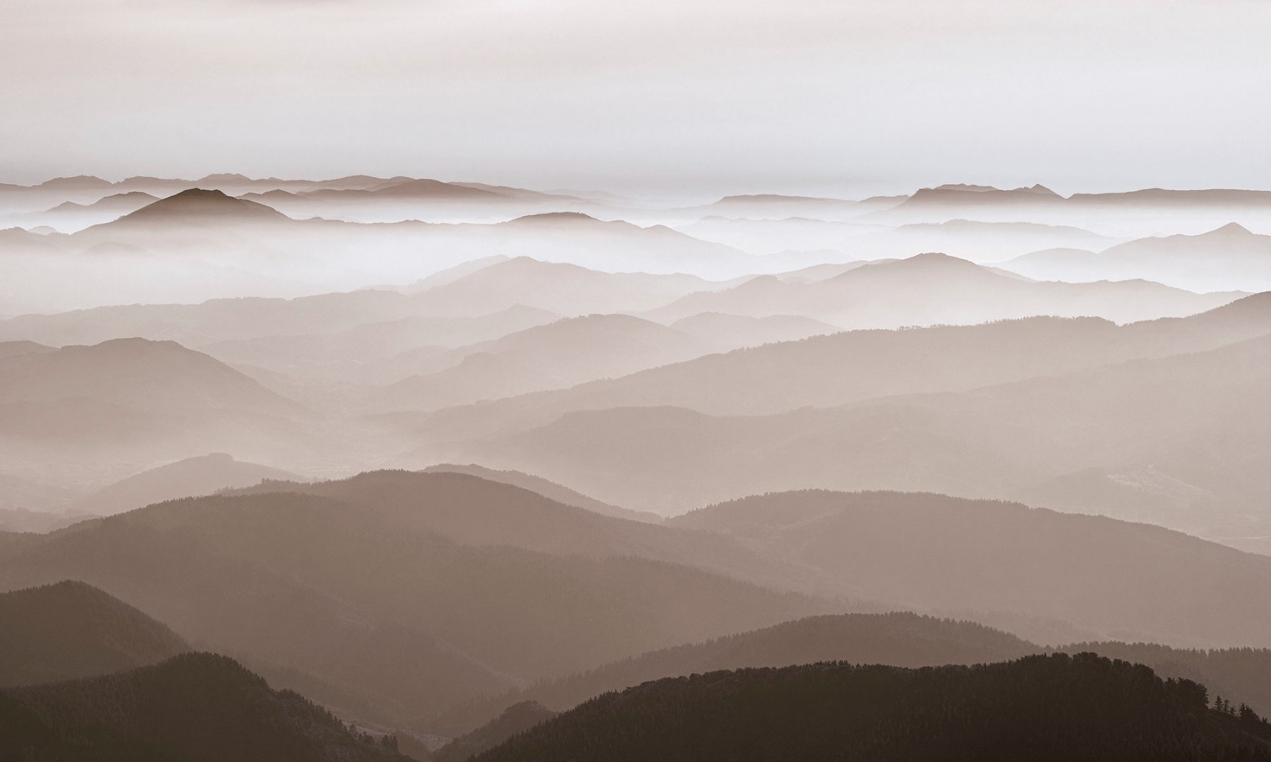 Фрески Ortograf арт 34065 фото 1