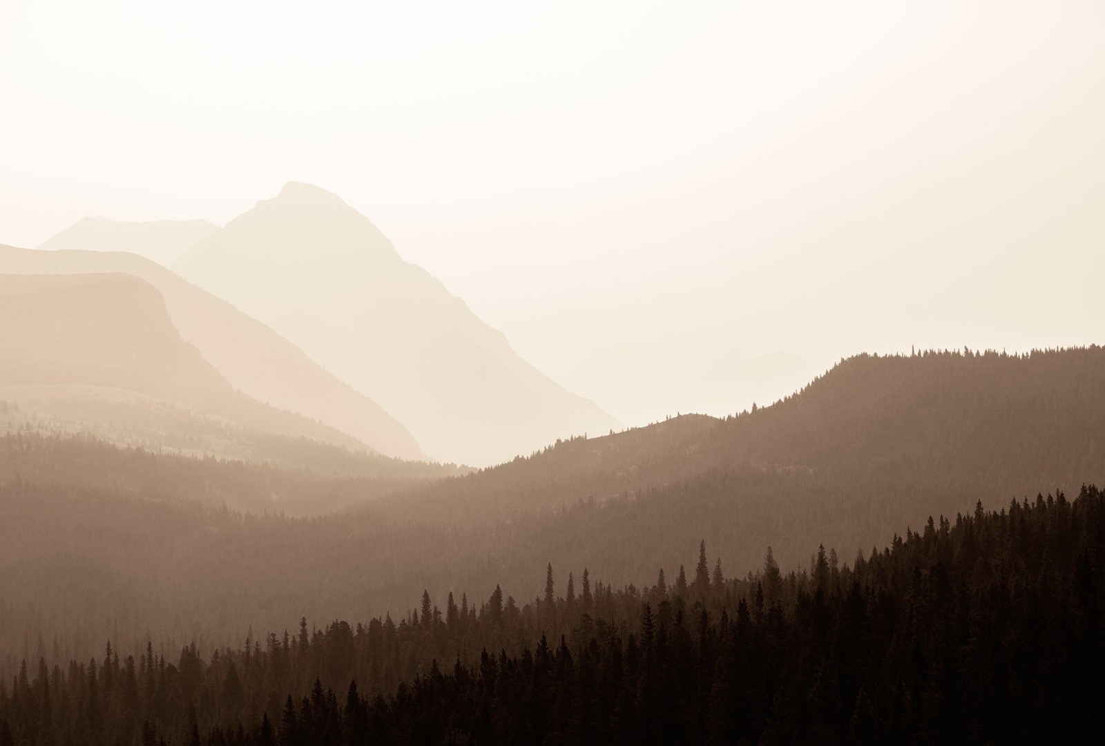 Фрески Ortograf арт 34069 фото 1