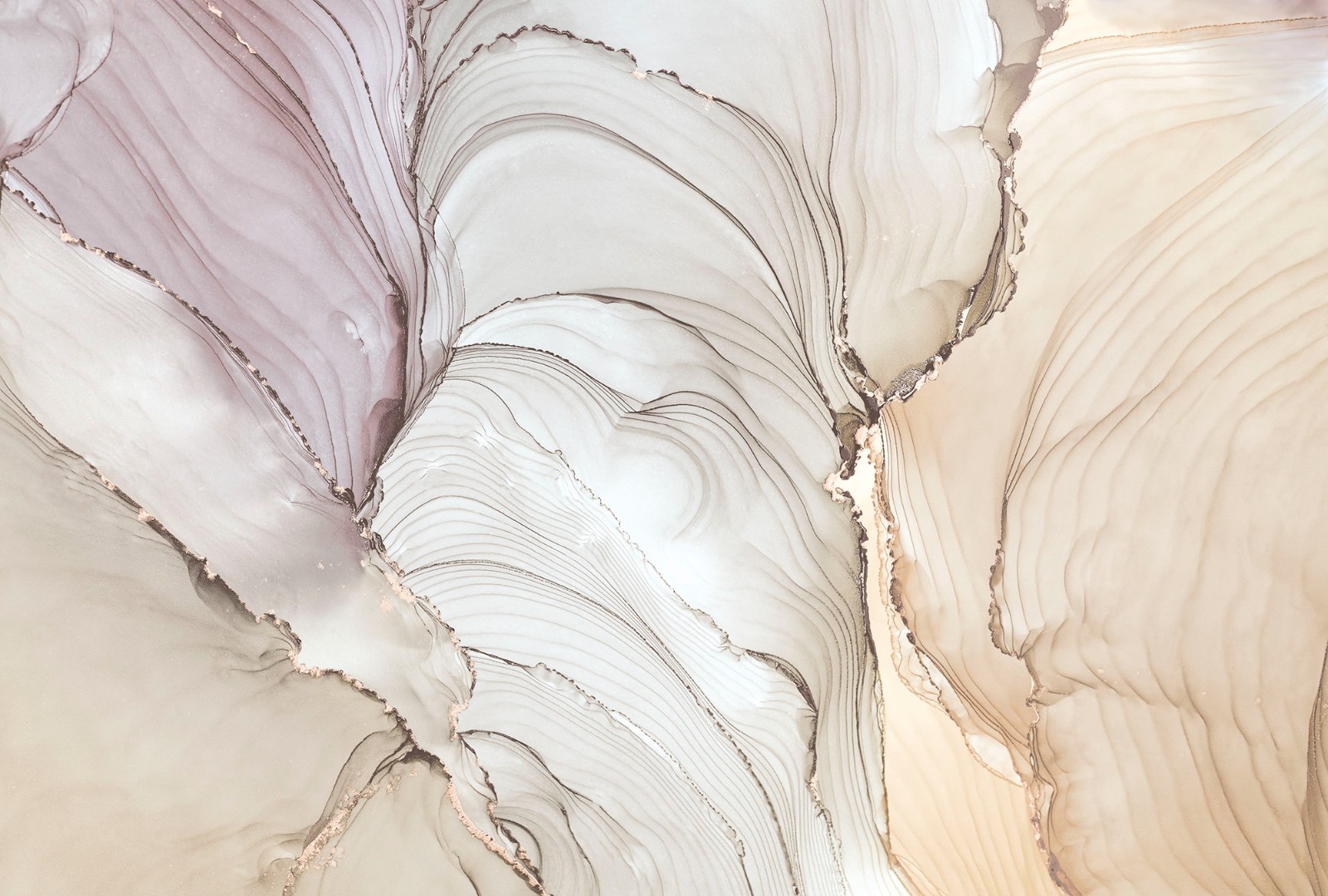 Фрески Ortograf арт 34216 фото 1