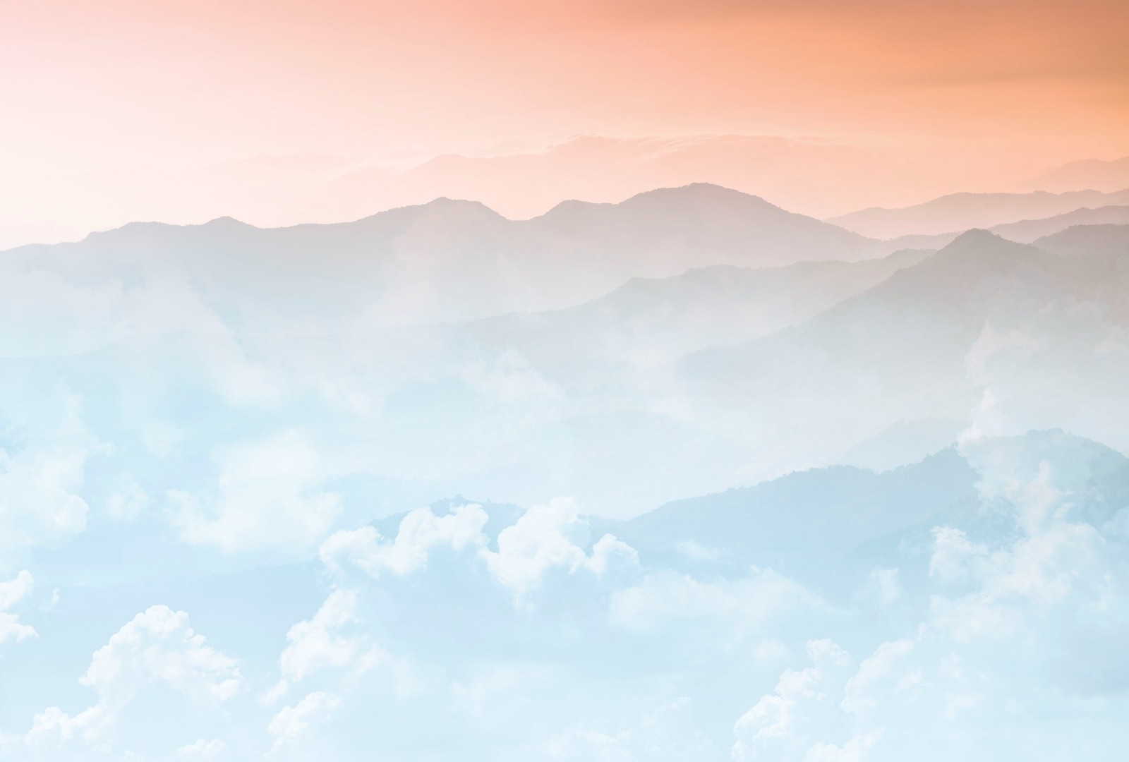 Фрески Ortograf арт 34255 фото 1